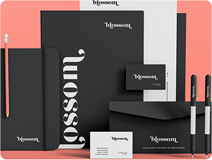 Modern Branding Showcase